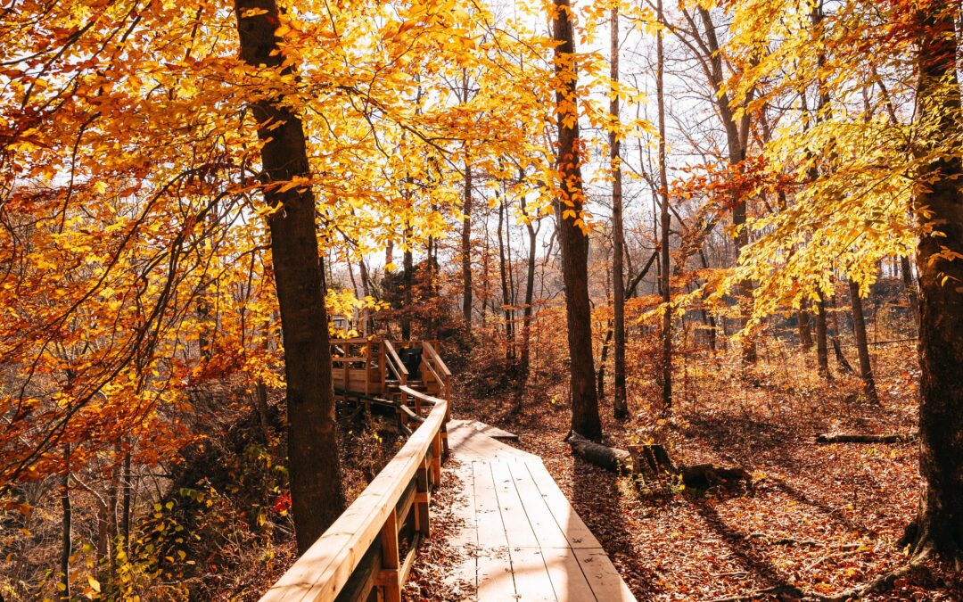 Fall Equinox and Seasonal Change
