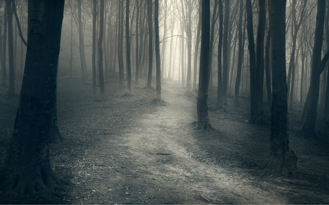 Self-Care in the Darker Months